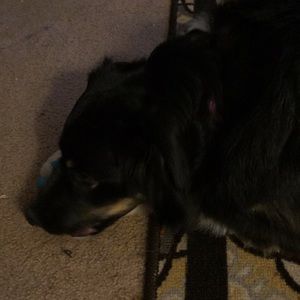 Meet your Posher, Pam